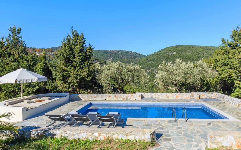 Private villa with swimming pool and spacious land Swimming pool area