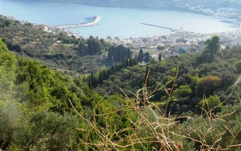 Land property above Skopelos Town with breathtaking views Views