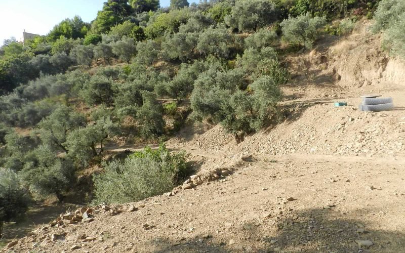 Land property above Skopelos Town with breathtaking views Plot