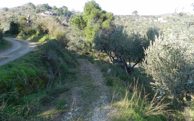 Beautiful Land above Skopelos Town with views and building permit Acces
