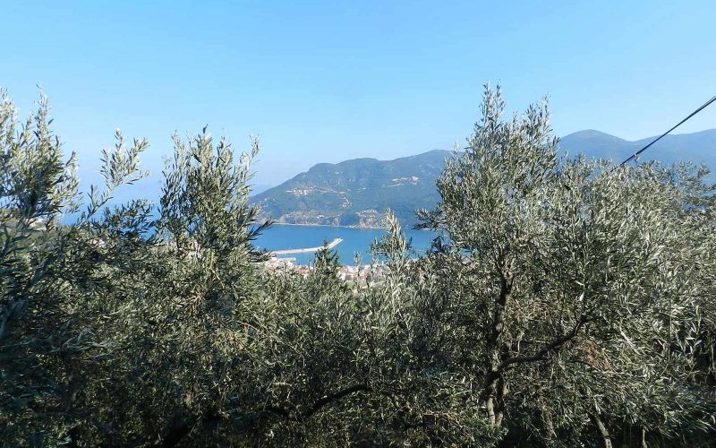 Beautiful Land above Skopelos Town with views and building permit Views