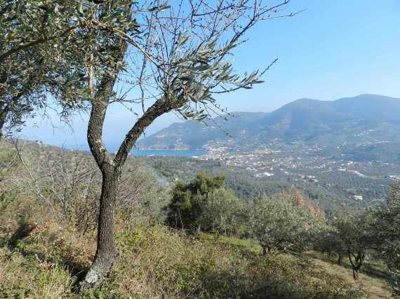 Buildable plot in the area of Pefkias with views