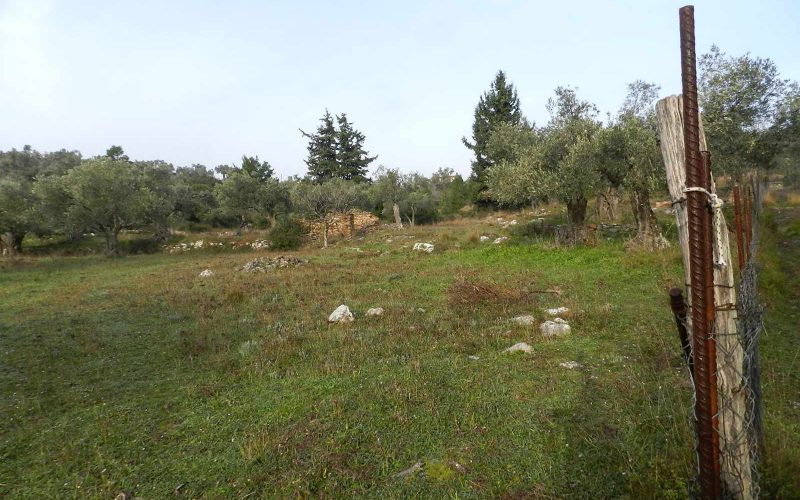 Spacious plot in the area of Alikias Ground