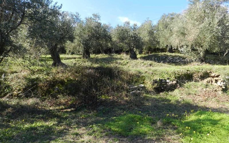 Unique plot in Agios Konstantinos with spactacular views Olive grove