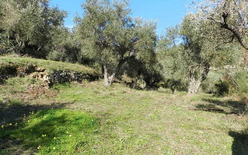Unique plot in Agios Konstantinos with spactacular views Ground