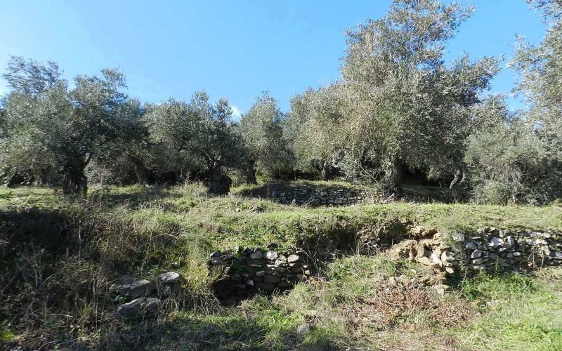 Unique plot in Agios Konstantinos with spactacular views Terraces