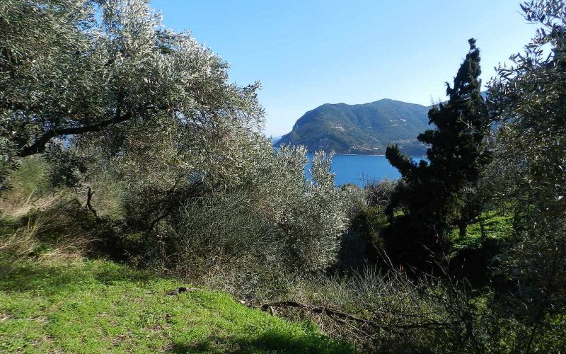 Unique plot in Agios Konstantinos with spactacular views Vegetation