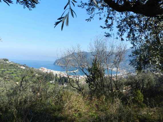 Beautiful Land above Skopelos Town with views and building permit