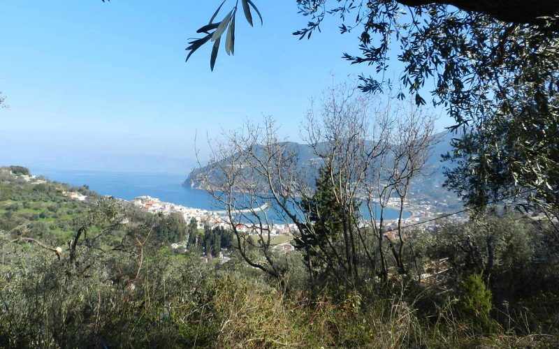 Beautiful Land above Skopelos Town with views and building permit