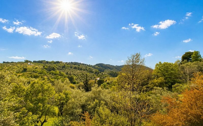 Charming Cottage in the Heart of Skopelos Countryside