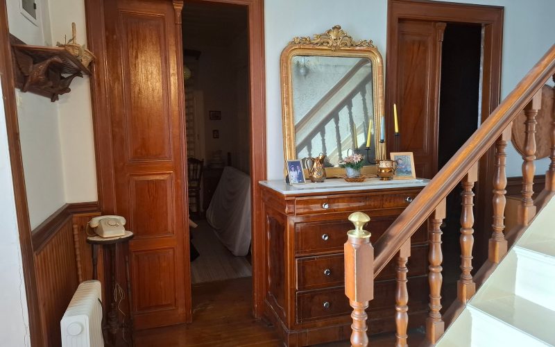 Spacious Town mansion with terrace and yard