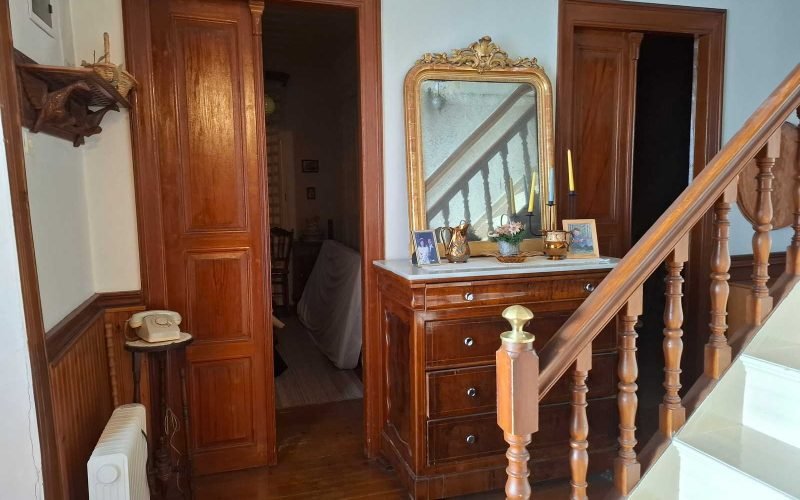 Spacious Town mansion with terrace and yard