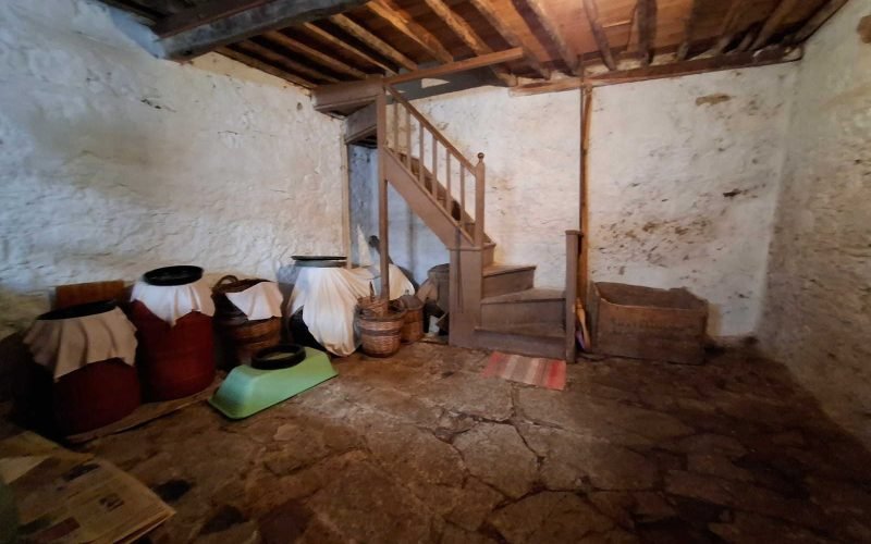 Spacious Town mansion with terrace and yard