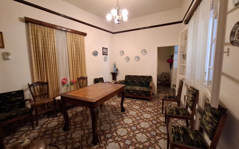 Spacious Town mansion with terrace and yard