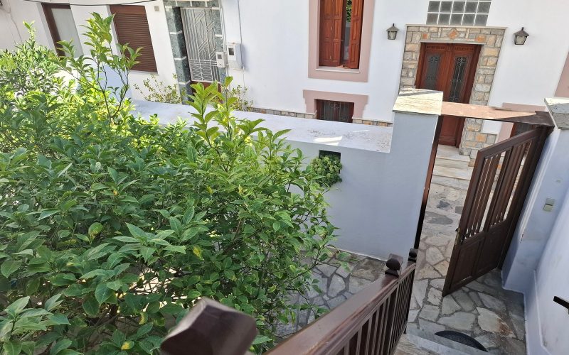 Spacious Town mansion with terrace and yard