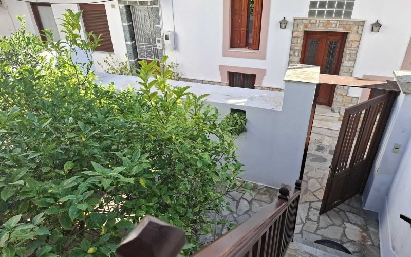 Spacious Town mansion with terrace and yard