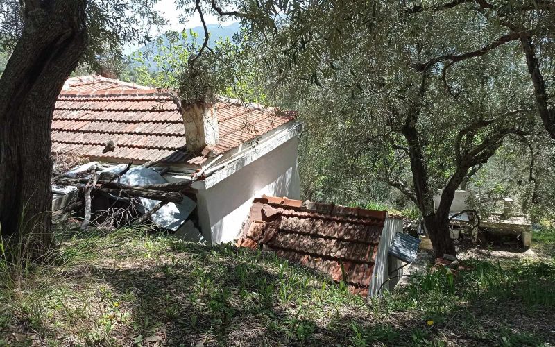 Cute traditional cottage in a big olive grove