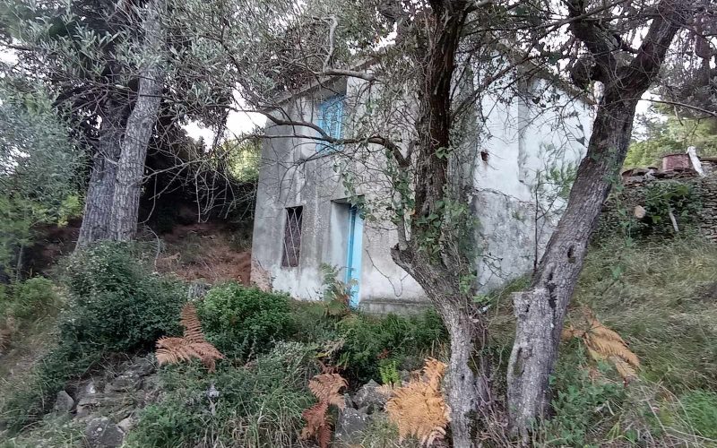 Cottage with land lost in the forests of Skopelos Island