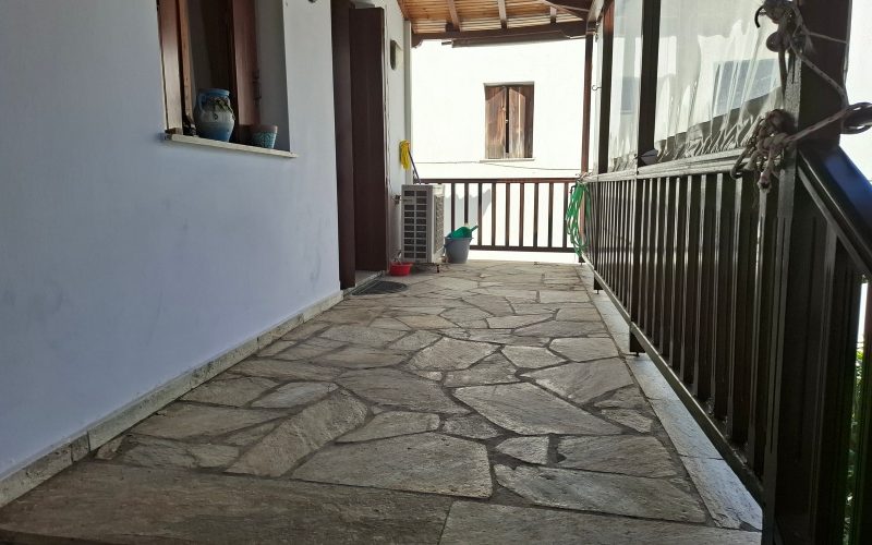 Spacious Town mansion with terrace and yard