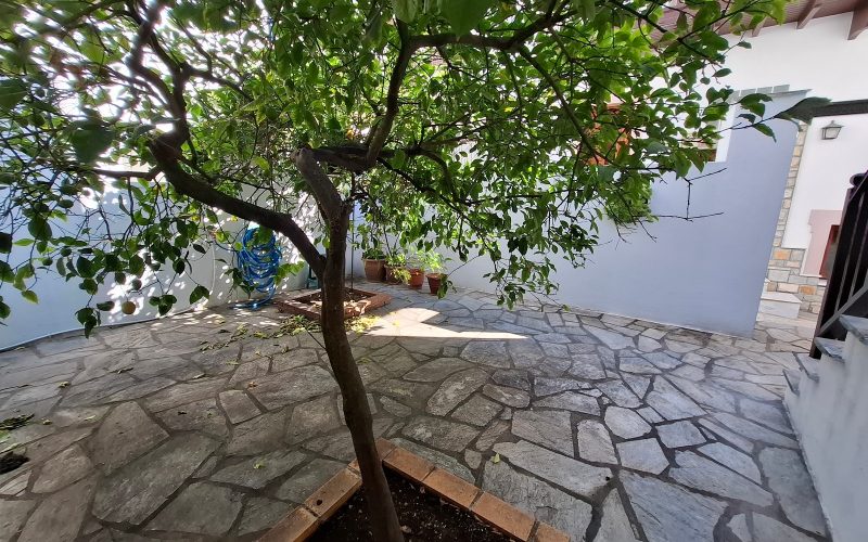 Spacious Town mansion with terrace and yard