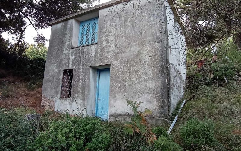 Cottage with land lost in the forests of Skopelos Island