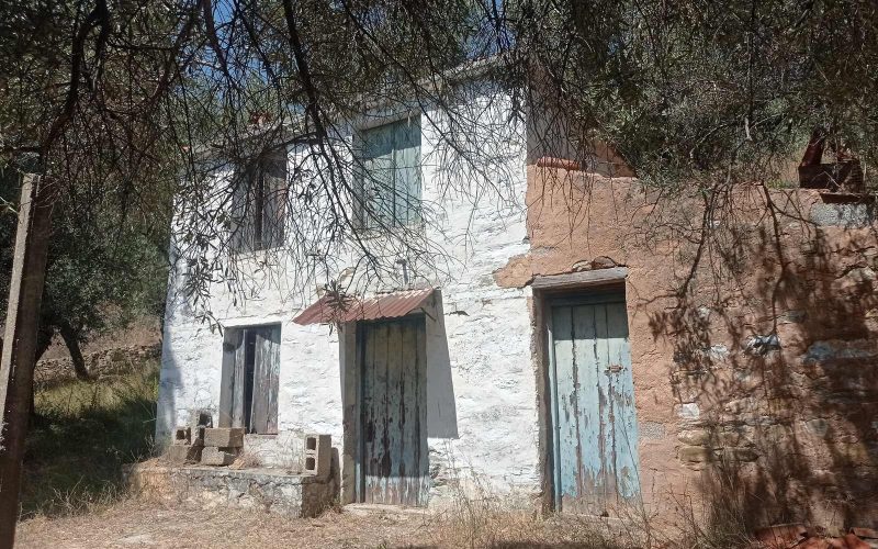 Old Stone cottage in spacious olive grove