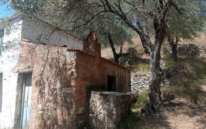 Old Stone cottage in spacious olive grove