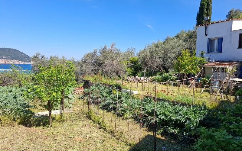 Traditional Cottage in Miloi Area in Skopelos