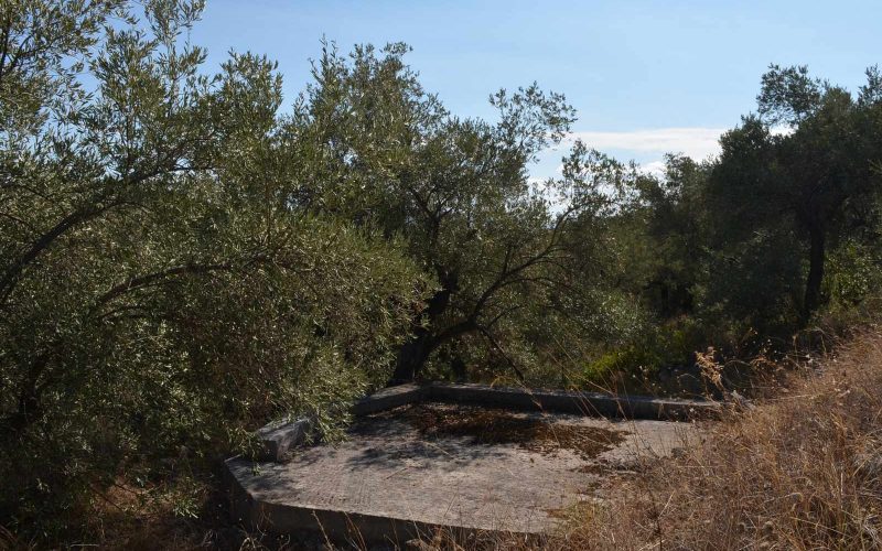 Spacious Villa lost in the countryside of Skopelos island.