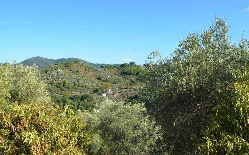 Spacious Villa lost in the countryside of Skopelos island. Views