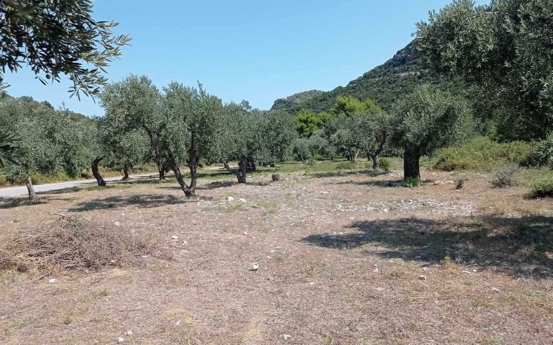 Plot in walking distance to Glysteri beach
