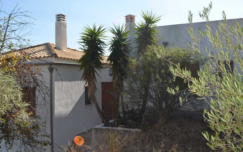 Spacious Villa lost in the countryside of Skopelos island.