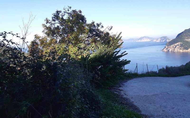 Land in Raches area with best views to the Aegean Sea Access