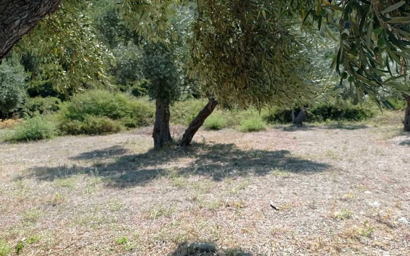 Plot in walking distance to Glysteri beach