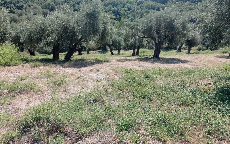 Plot in walking distance to Glysteri beach
