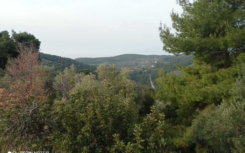 Cottage in the countryside of Pefkias area on Skopelos Island The views