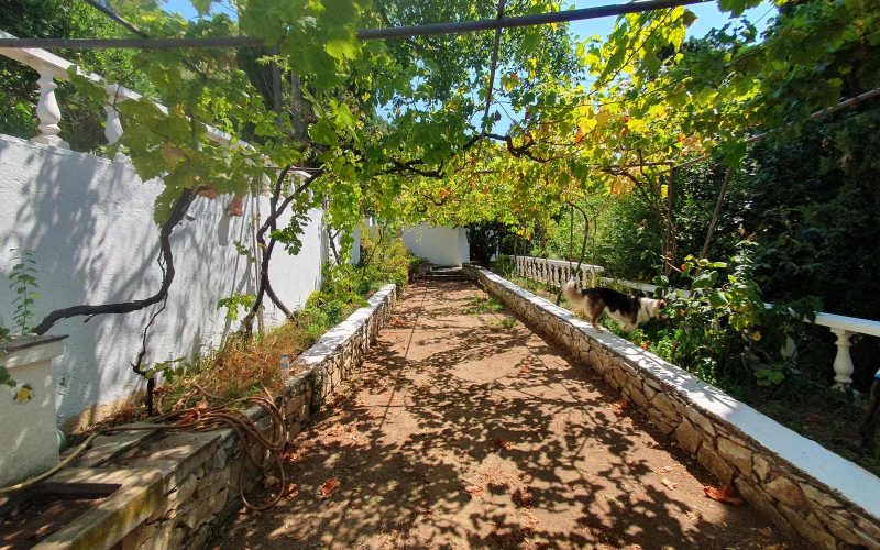 Glorious Mansion with a unique garden on Skopelos Island. Vine alley