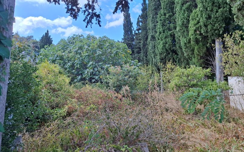 Two cottages for renovation in walking distance to Skopelos Town