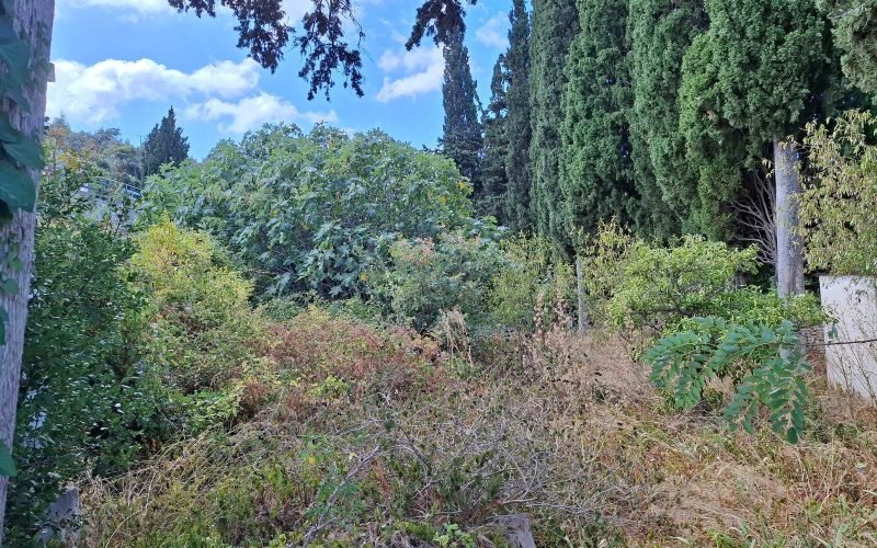 Two cottages for renovation in walking distance to Skopelos Town