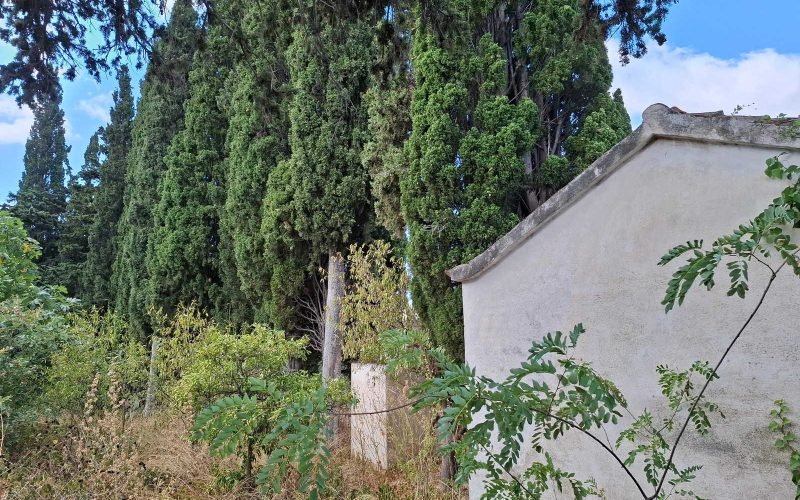 Two cottages for renovation in walking distance to Skopelos Town