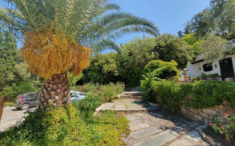 Glorious Mansion with a unique garden on Skopelos Island. Garden