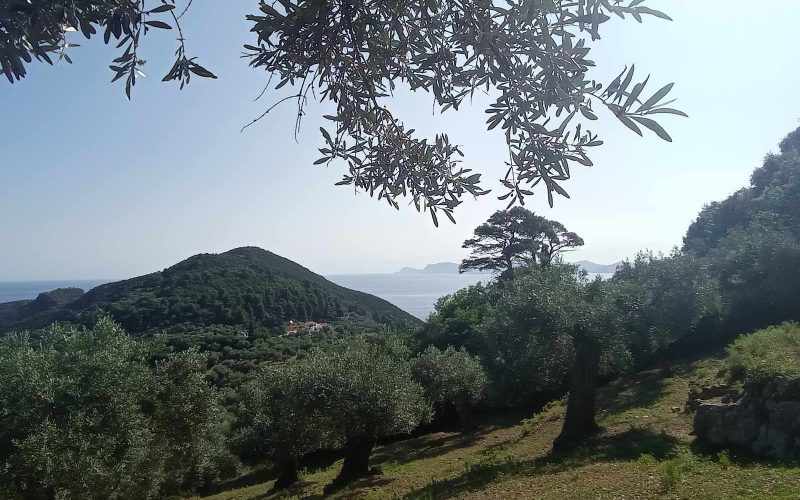 Buildable plot with views to Glisteri beach
