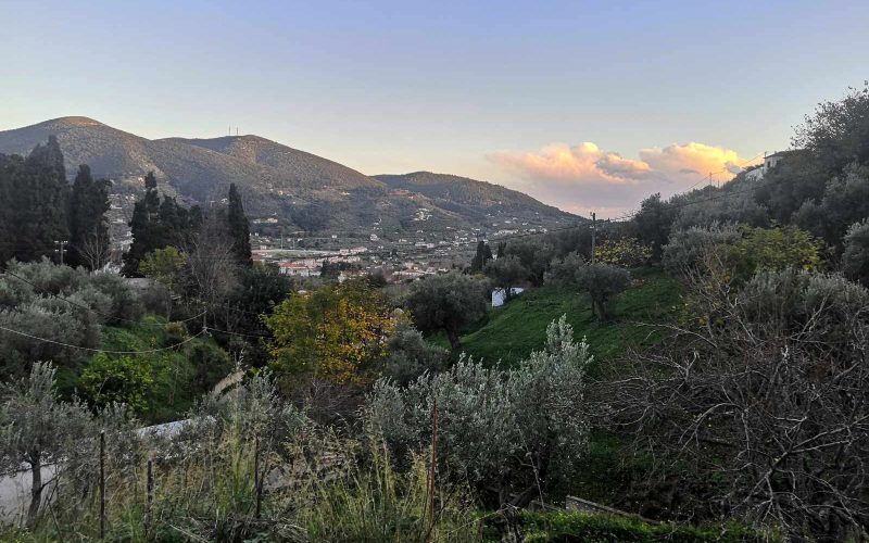 Plot with building permit close to Skopelos Town