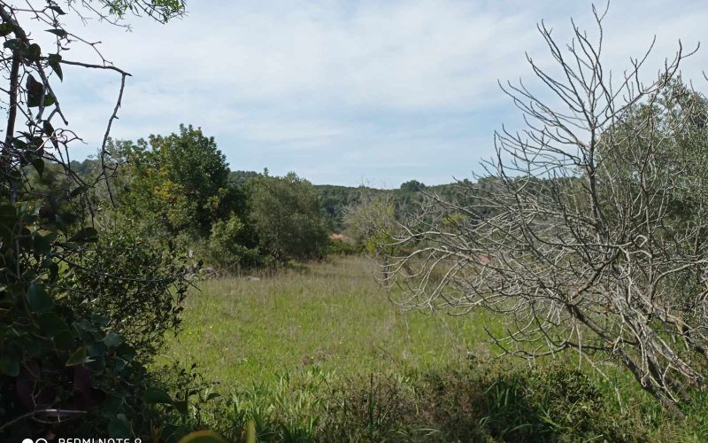 Big land with cottages to renovate close to Panormos beach Land