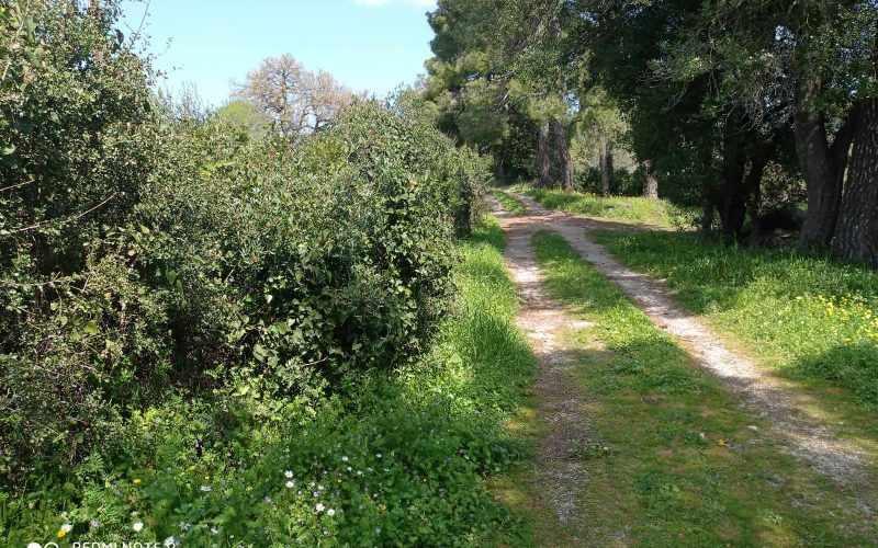 Big land with cottages to renovate close to Panormos beach Access