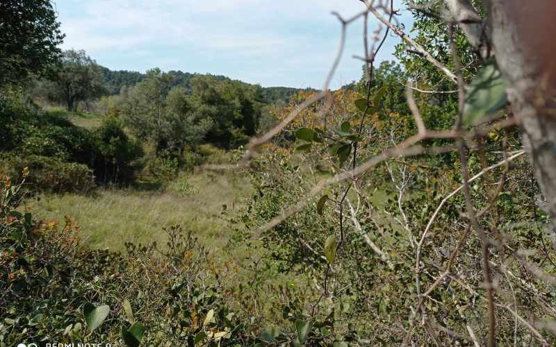 Big land with cottages to renovate close to Panormos beach Land