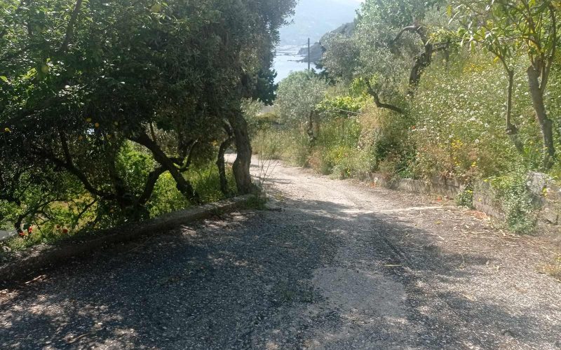Spacious beach front property on Skopelos Island.