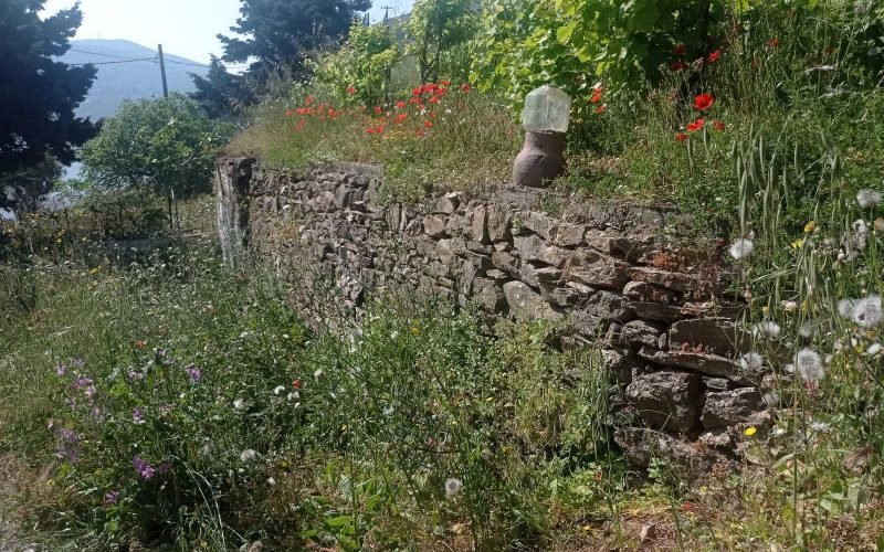Spacious beach front property on Skopelos Island.