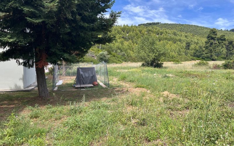 Property in walking distance to Agnontas beach