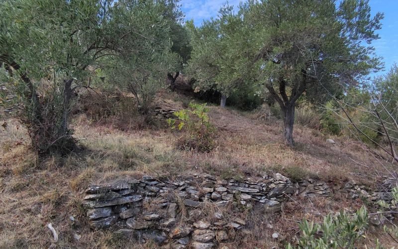 Land with permit for 3 villas with swimming pool